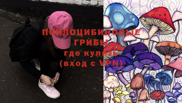 круглые Краснослободск