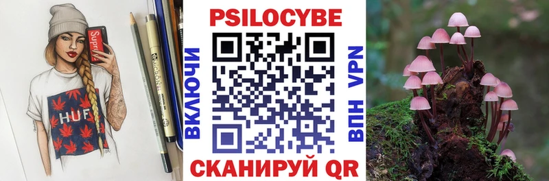 Псилоцибиновые грибы Psilocybe  Гусь-Хрустальный 